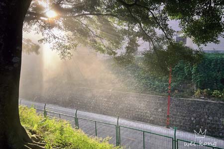 1678666670682040092.jpg 1.jpg